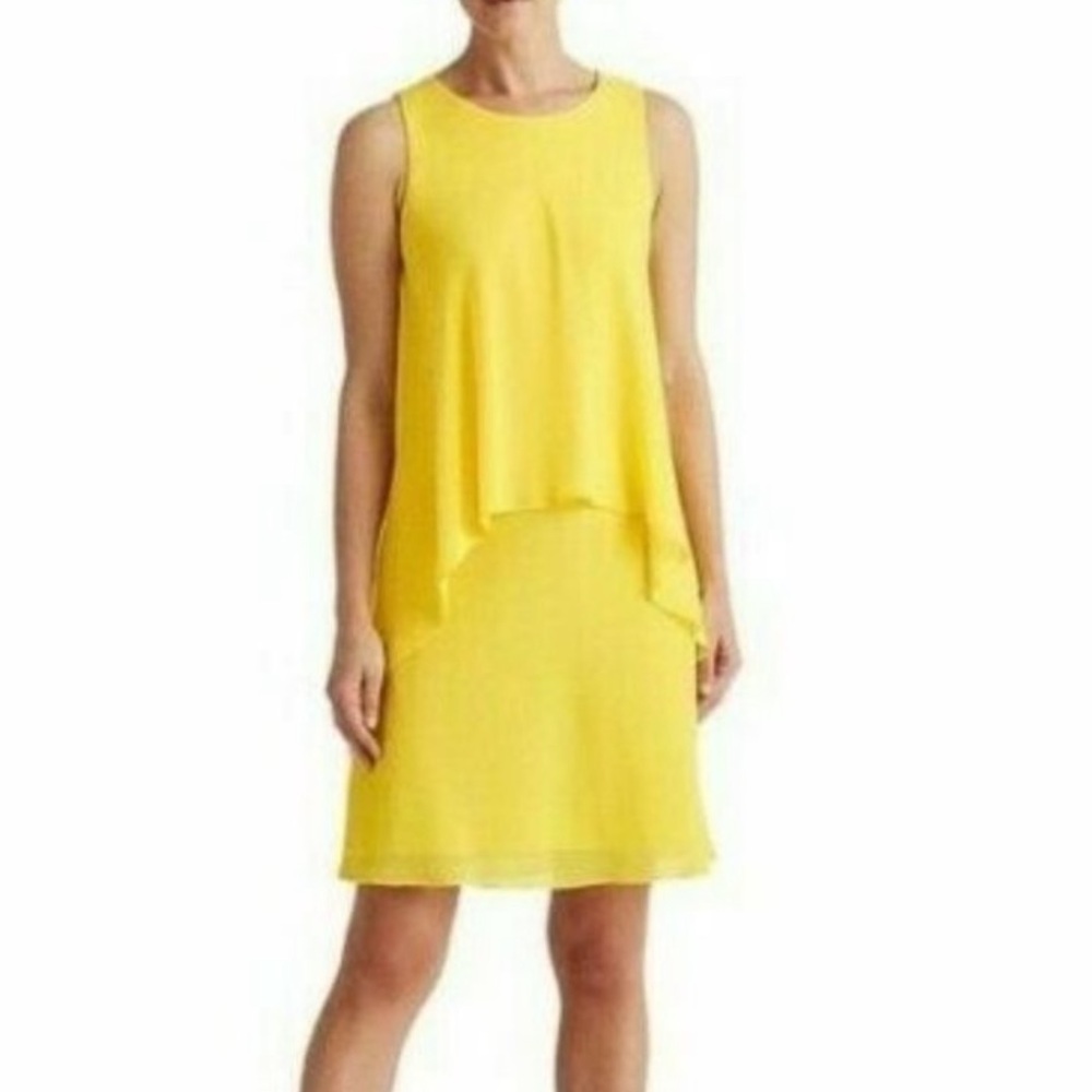 🆕 with no tags Ralph Lauren Dress